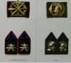 Bestandsnaam=oplpatjeblauw3luchtd.jpg
Bestandsgrootte=12KiB
Afmetingen = 307x275
Datum toegevoegd = 30 okt 2006 oplpatjeblauw3luchtd.jpg