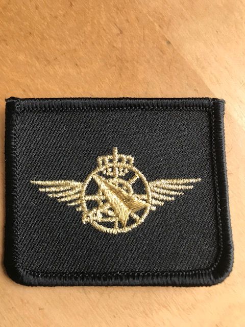 Brevet Luchtgevechtsleider 
