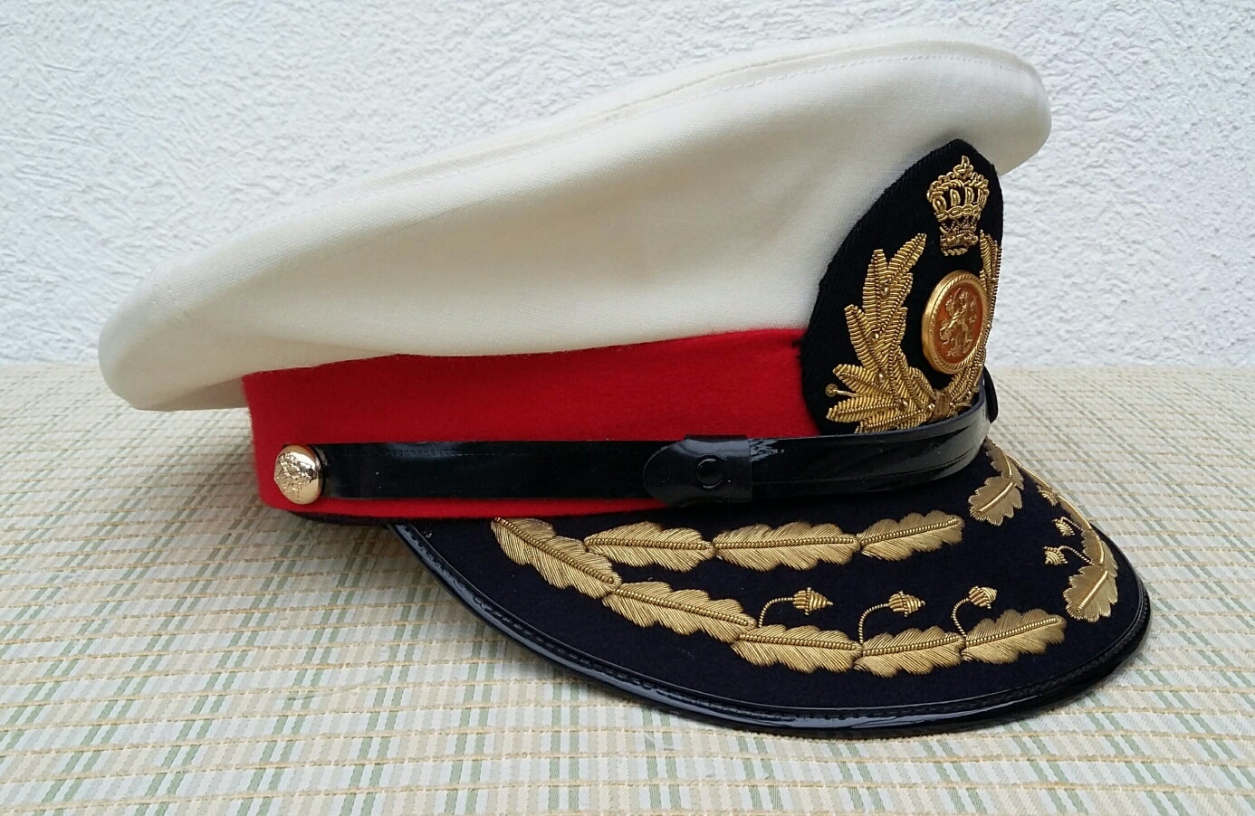 ATT pet Luitenant Generaal de Geus
