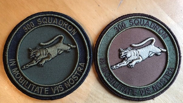 2 uitvoeringen squadronemblemen 300
