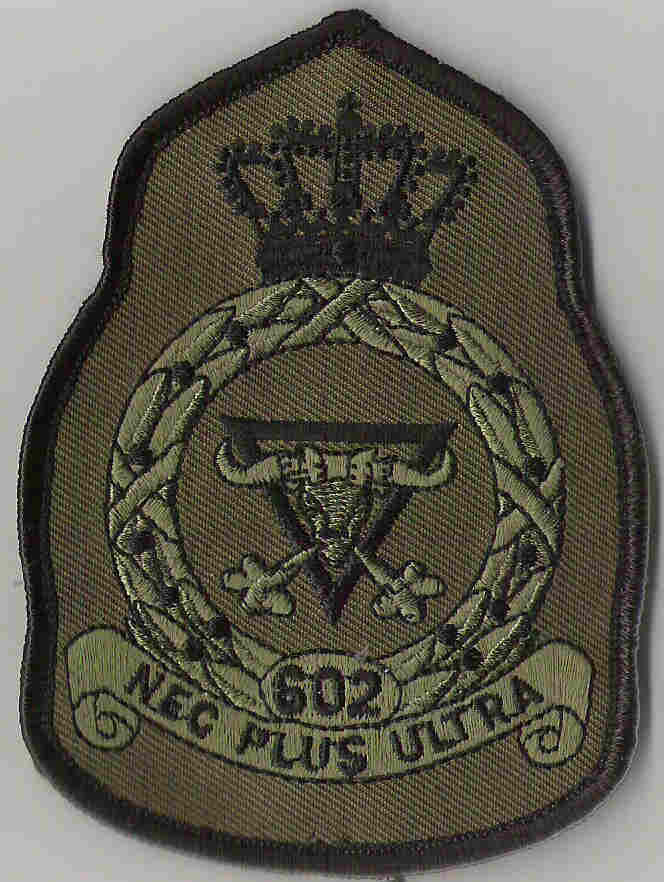 602.jpg