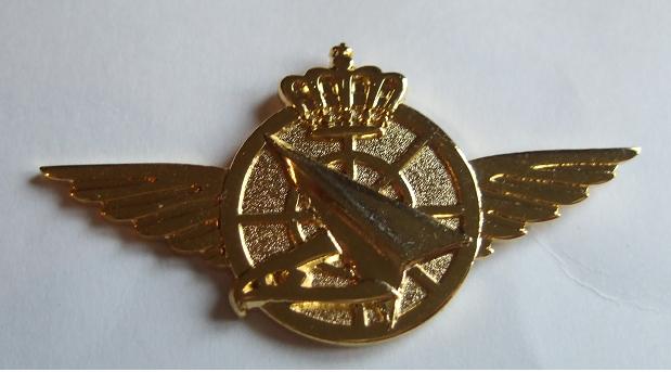 Luchtgevechtsleider
