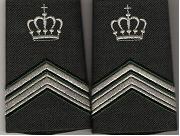 Wachtmeester 1 instructeur
