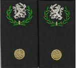 RVE 1 niveau, Bataljonsadjudant, Peletonscommandant KMS
