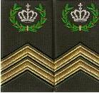csm
