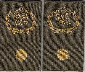 Ressort niveau en hoger, Krijgsmachtadjudant, Landmachtadjudant. Ressortadjudant
