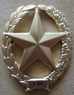 Lichte mitrailleur
