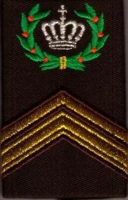 csm idrv sgt 1
