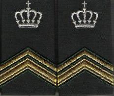 Serg 1 instructeur
