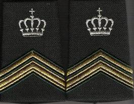 Serg 1 instructeur
