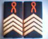 Bestandsnaam=GALA_sergeant_majoor_in_opleiding_officier_beroeps_onbepaalde.jpg
Bestandsgrootte=25KiB
Afmetingen = 352x288
Datum toegevoegd = 30 mei 2006 GALA_sergeant_majoor_in_opleiding_officier_beroeps_onbepaalde.jpg