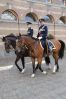 Bestandsnaam=Prinsjesdag_20-09-2016_(676)_site.jpg
Bestandsgrootte=713KiB
Afmetingen = 1095x1642
Datum toegevoegd = 10 dec 2016 Prinsjesdag_20-09-2016_(676)_site.jpg