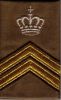 Bestandsnaam=sergmajoorinstructeur.JPG
Bestandsgrootte=18KiB
Afmetingen = 177x286
Datum toegevoegd = 20 jul 2006 sergmajoorinstructeur.JPG