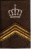 Bestandsnaam=sgt1itrui.JPG
Bestandsgrootte=5KiB
Afmetingen = 92x144
Datum toegevoegd = 20 jul 2006 sgt1itrui.JPG