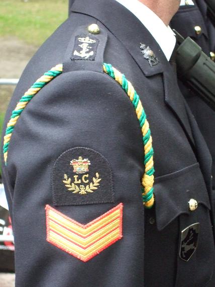 vet200926~0.jpg